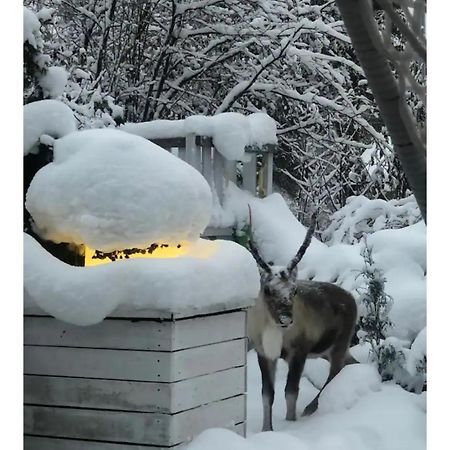 Snowcrystal Home With Jacuzzi And Sauna 罗瓦涅米 外观 照片