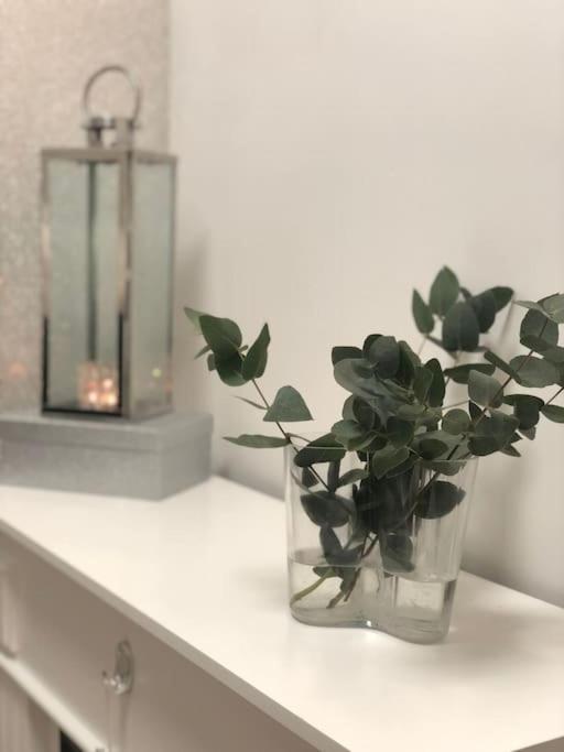 Snowcrystal Home With Jacuzzi And Sauna 罗瓦涅米 外观 照片